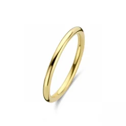 Basic Forgyldt Sølv Ring fra Spirit Icons S53512