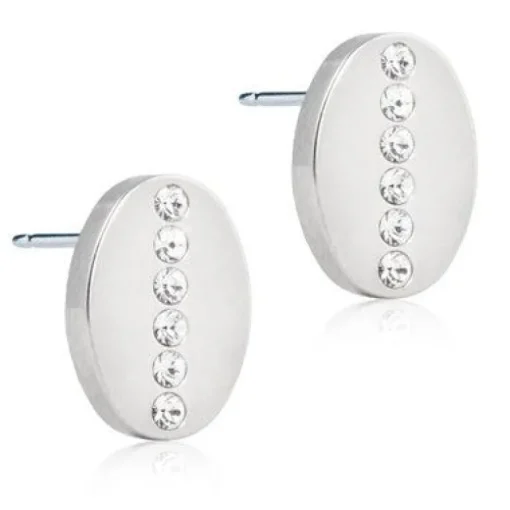 Blomdahl Brillance Oval Titanium Øreringe 15-1241-01