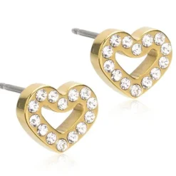 Blomdahl Gt Brilliance Heart Titanium Øreringe med Krystal
