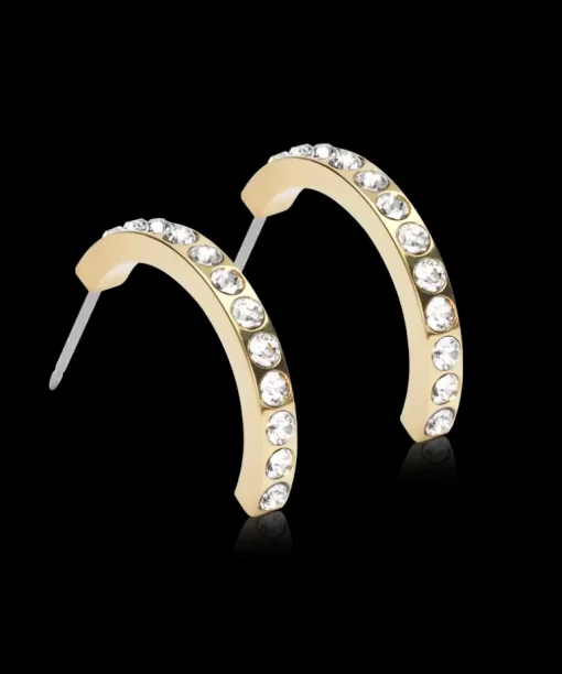 Blomdahl Gt Pendant Brilliance Curved Øreringe i Titanium