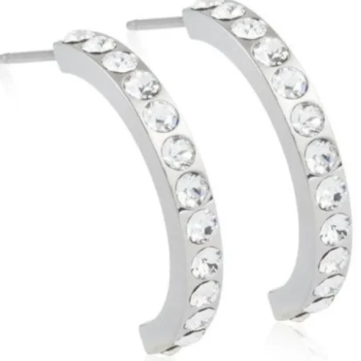 Brilliance Titanium Ørestikker fra Blomdahl med Curved Crystal