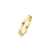 Forgyldt Sølv Ring fra Spirit Icons S53162