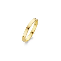 Forgyldt Sølv Ring fra Spirit Icons S53162