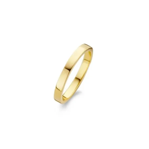 Forgyldt Sølv Ring fra Spirit Icons S53162