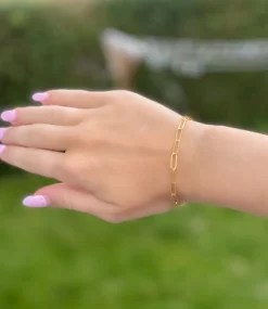 Smykkekæden Isabell Link Forgyldt Sølv Armbånd