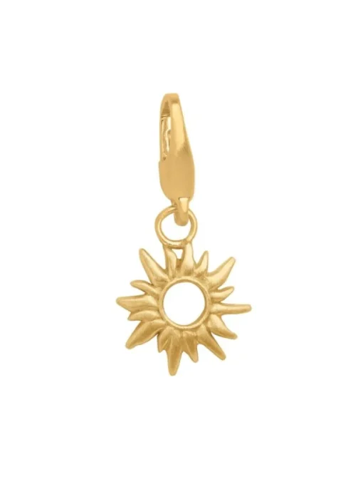 Sun Wild Forgyldt Metalblanding Charm fra byBiehl