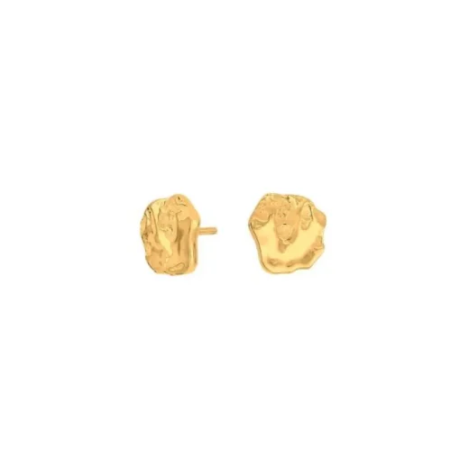 Treasure52 Forgyldt Sølv Ørestikker fra Nordahl Andersen